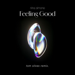 Nina Simone - Feeling Good (Tom Silves Remix) [COPYRIGHT FILTRED]