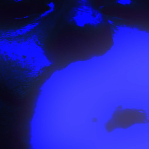 COUPLE O's [FREE DOWNLOAD]