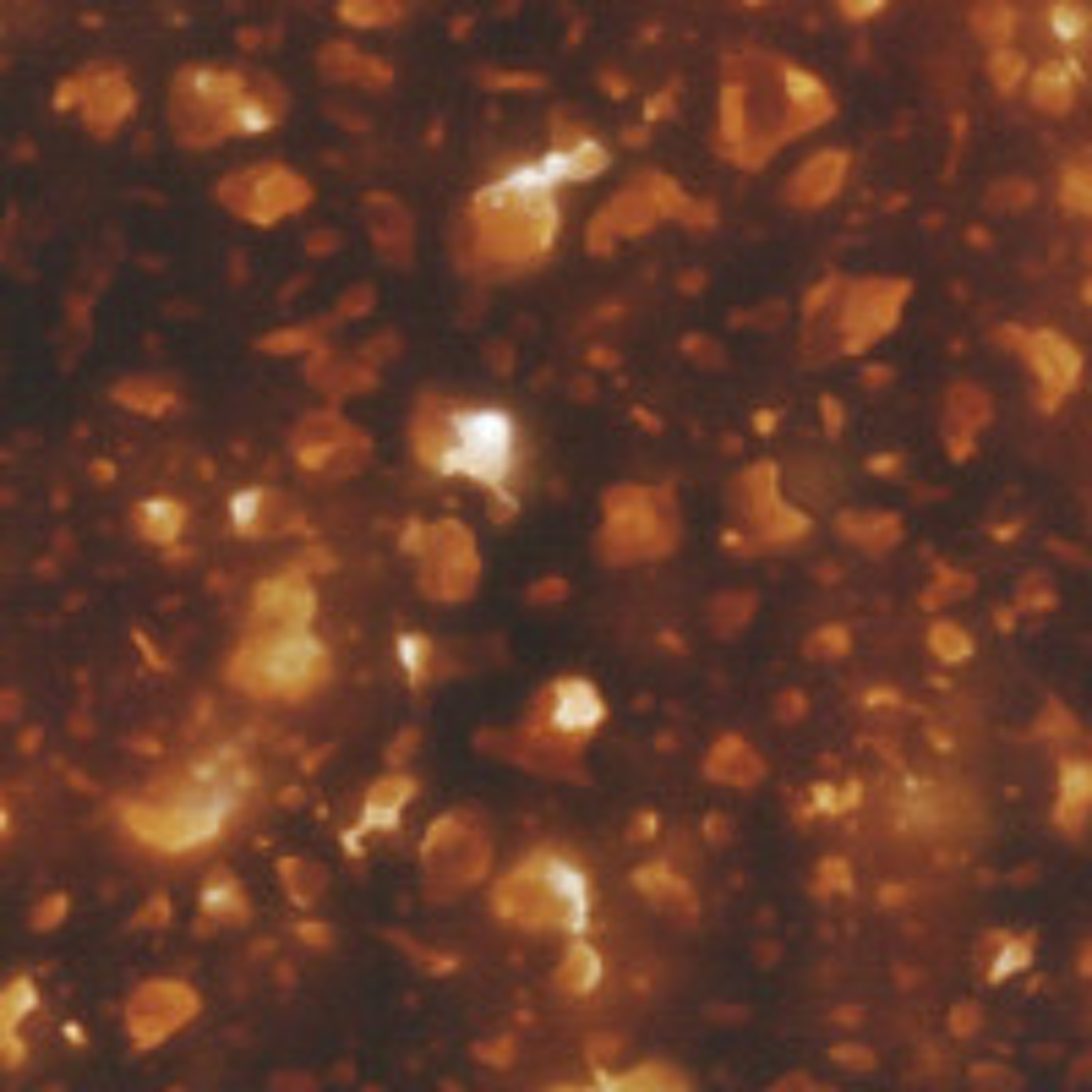 Sauerteig - Bakterienzusammenkunft (18.03.25) episode artwork