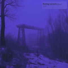 sevenlies - fleeting moments (Slowed + Reverb)