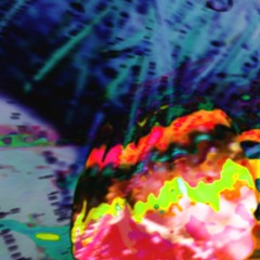BLISS AMITY *COMING CLOSE* (SHINJU & KAKTUS) soS