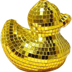 Housen mit Kami & daktari 23-08-2025