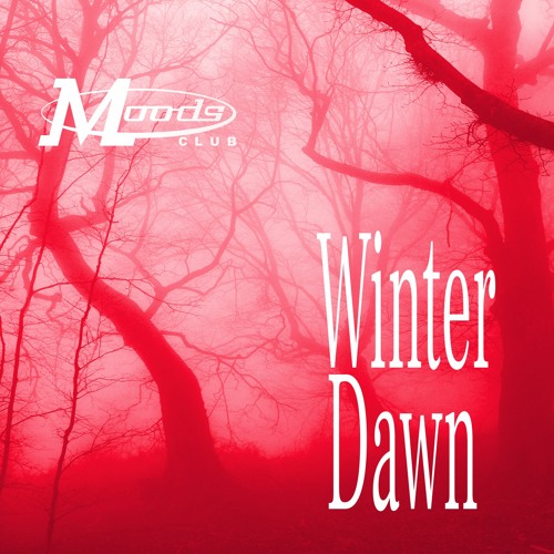 Winter Dawn