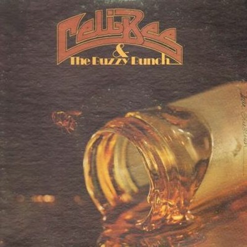 Celi Bee & The Buzzy Bunch Orchestra - Closer, Closer