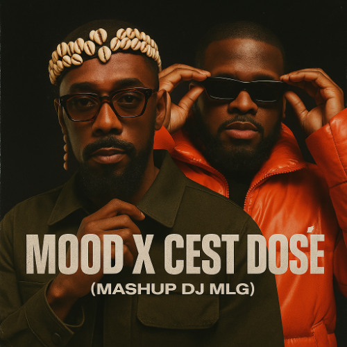 Mood x C'est dosé ( Mashup Dj MLG ) Filtrer