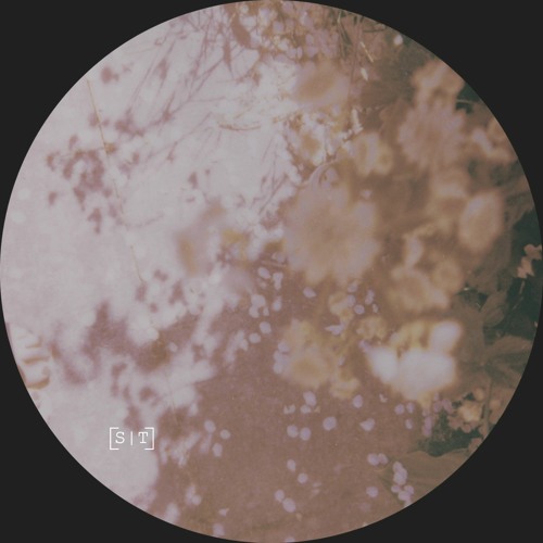 MNMT Premiere: Noah Lyas – Reflections V