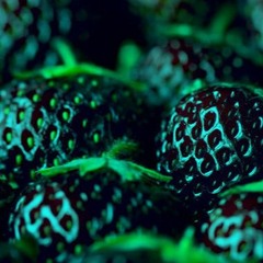 Black Strawberries (Chopped & Screwed)