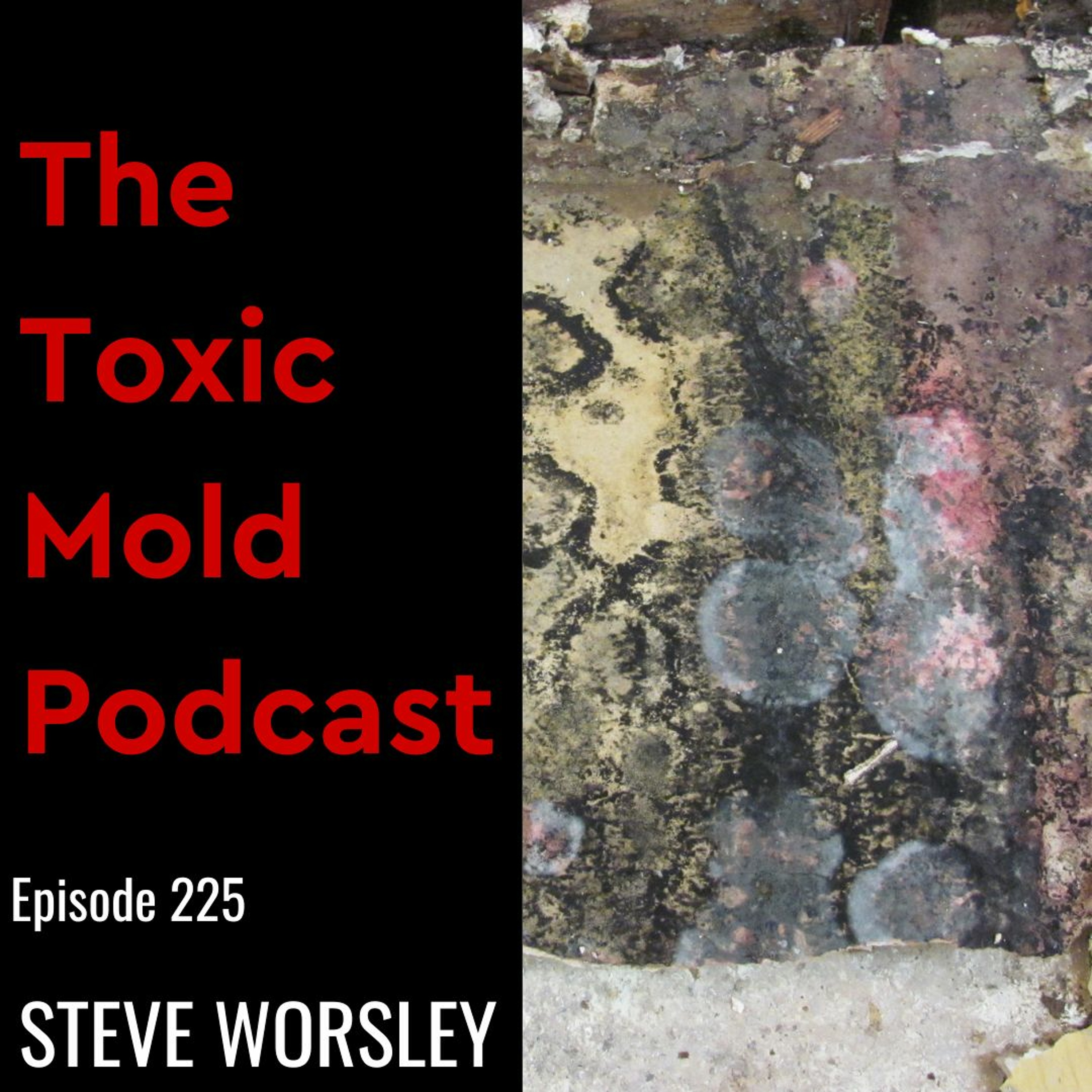 The Toxic Mold Podcast