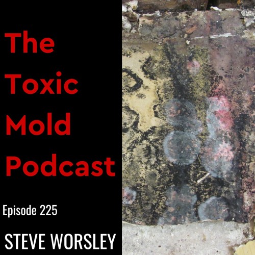 EP 225: Can You Force Mitigation if Toxic Mold is Present?