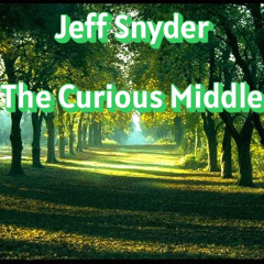 7 Planet Carnival  Jeff Snyder  The Curious Middle
