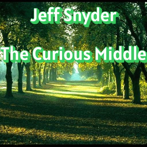 7 Planet Carnival  Jeff Snyder  The Curious Middle