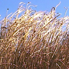 Двоє (Фантом 2)