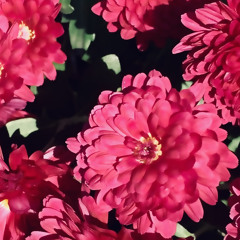 Too Much(prod. pink)