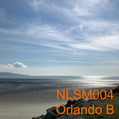NLSM004 Orlando B