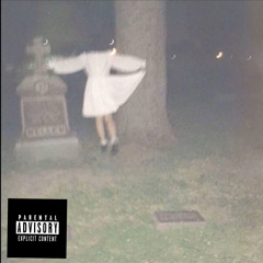 V3N$U$ (✨ft.flowerboi🌺)