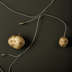 Food Noise