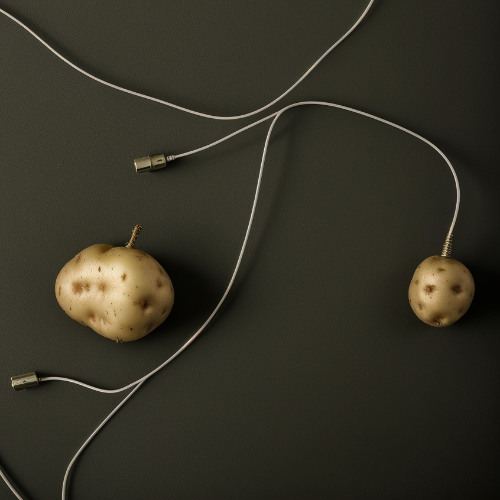 Food Noise