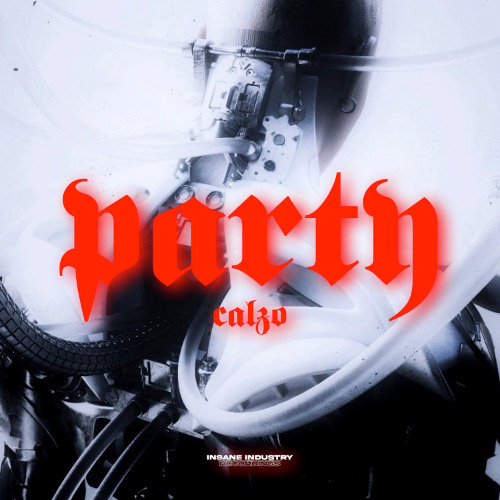 CALZO - PARTY (ORIGINAL MIX)[II221S]