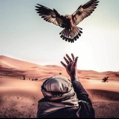 الشيخ محمود يس التهامي - كم غصت في بحر الحبيب