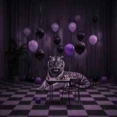 Disgrace (feat. Ziploc Zenith)