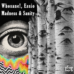 [SNIPPET]_Whosane!_,_Essio_-_Madness_&_Sanity_(_Original_Mix_)