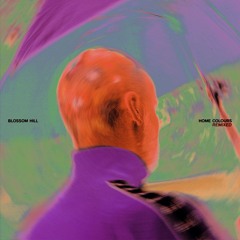 PREMIERE: Blossom Hill - Entropy (Kin Teal Remix)
