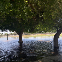 I Gotta Be {prod Juno}