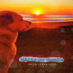 Thinking Our Thoughts