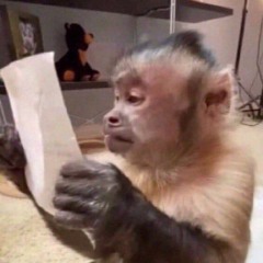 yeah you got thrown into aux