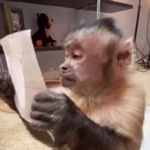 yeah you got thrown into aux