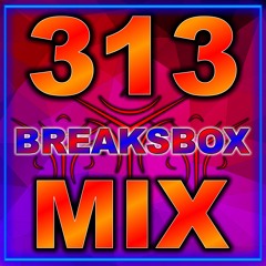 Break Beat Mix 313 sc