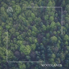 Woodland Reverie