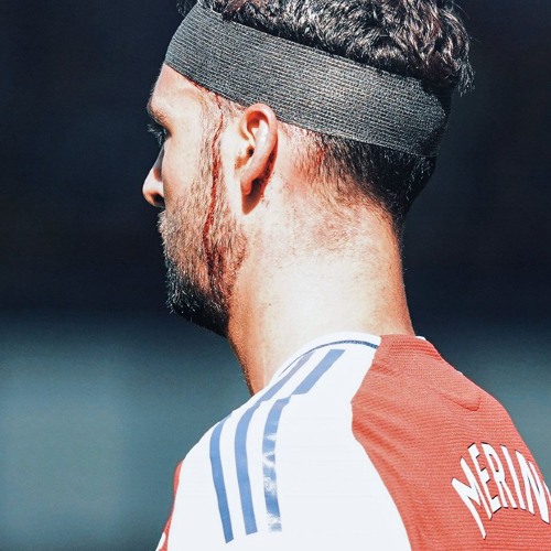 23 LIKE MERINO