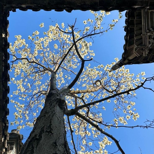 Alchemist type beat.