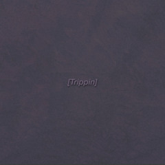 Trippin