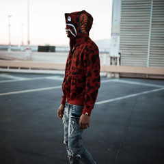 SNAKES & APES (EBK JAYBO REMIX)