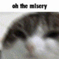 'Enemy' by Imagine Dragons, but its just misery...