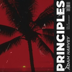 PRINCIPLES - TECH HOUSE EDIT