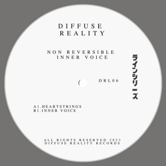 Non Reversible - Inner Voice [Diffuse Reality|DRL06]