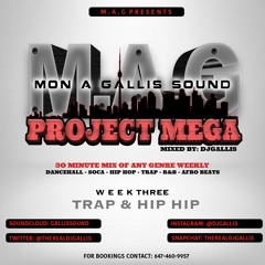 @DJGALLIS - M.A.G PROJECT MEGA (HIP HIP) 2020