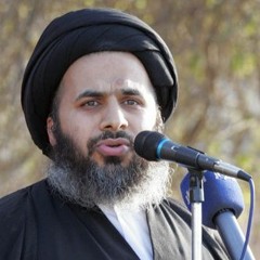جهاد علماء جبل عامل في مواجهة أحمد باشا الجزار -4  السيد هاشم الهاشمي 11 - 4-2021