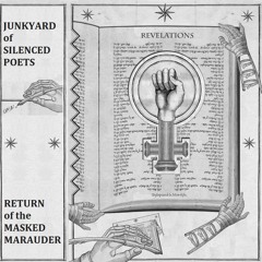 Return Of The Masked Marauder