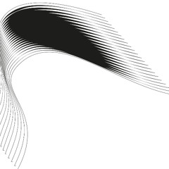 Decoherence
