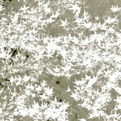 You’re actually right, daddy