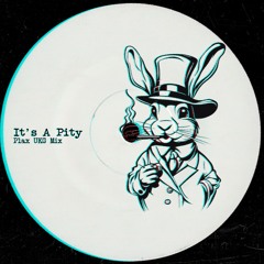 It's A Pity (Plax UKG Mix)