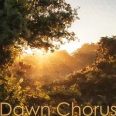 Dawn Chorus