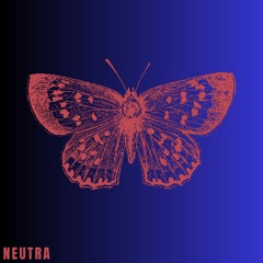 The Drake Brothers - Neutra (Extended Mix)