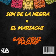 Son De La Negra x El Mariachi x Snake Charmer (Gael Cruz Mashup)(FREE DOWNLOAD)