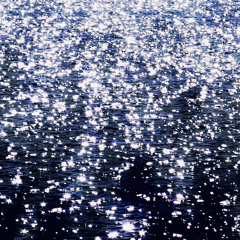 초여름의 모토는 레지스탕스