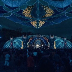 Flying on acid in to the moon